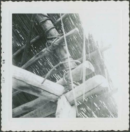 Photograph album, Yaruro fieldwork, p. 5, photo 5, view of construction technique for roof