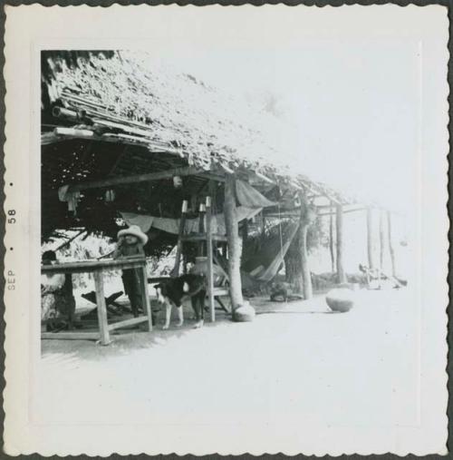 Photograph album, Yaruro fieldwork, p. 6, photo 4, thatched building with child and dog