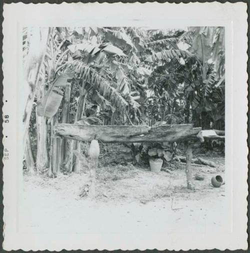 Photograph album, Yaruro fieldwork, p. 6, photo 6, unknown wooden structure