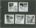 Photograph album, Yaruro fieldwork, p. 7 containing 5 bw photographs