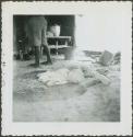 Photograph album, Yaruro fieldwork, p. 7, photo 1, view of the floor within a hut