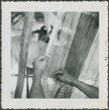 Photograph album, Yaruro fieldwork, p. 7, photo 5, close view of weaving