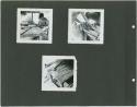 Photograph album, Yaruro fieldwork, p. 8 containing 3 bw photographs