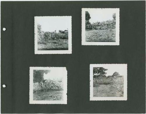 Photograph album, Yaruro fieldwork, p. 9 containing 4 bw photographs