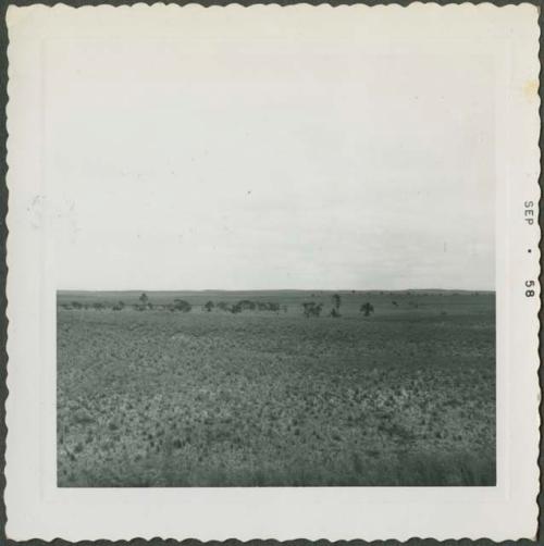 Photograph album, Yaruro fieldwork, p. 14, photo 3, Venezuela landscape