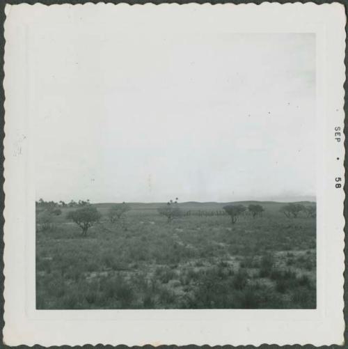 Photograph album, Yaruro fieldwork, p. 14, photo 4, Venezuela landscape