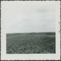 Photograph album, Yaruro fieldwork, p. 14, photo 5, Venezuela landscape