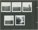 Photograph album, Yaruro fieldwork, p. 16 containing 5 bw photographs