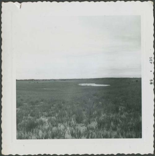 Photograph album, Yaruro fieldwork, p. 16, photo 4, Venezuela landscape