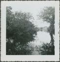 Photograph album, Yaruro fieldwork, p. 16, photo 5, river view