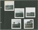Photograph album, Yaruro fieldwork, p. 17 containing 5 bw photographs