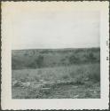 Photograph album, Yaruro fieldwork, p. 17, photo 1, Venezuela landscape