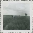 Photograph album, Yaruro fieldwork, p. 17, photo 2, Venezuela landscape with two Yaruro people