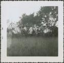 Photograph album, Yaruro fieldwork, p. 17, photo 5, Venezuela landscape