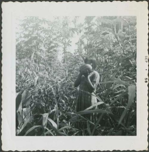 Photograph album, Yaruro fieldwork, p. 19, photo 5, forest view with person holding fruit