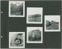 Photograph album, Yaruro fieldwork, p. 21 containing 5 bw photographs