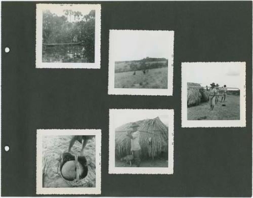 Photograph album, Yaruro fieldwork, p. 21 containing 5 bw photographs