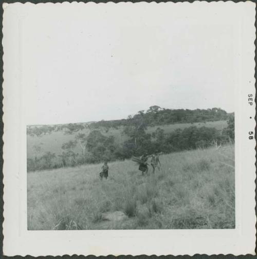 Photograph album, Yaruro fieldwork, p. 21, photo 2, Venezuela landscape with people carrying brush