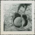Photograph album, Yaruro fieldwork, p. 21, photo 4, filled weaved basket