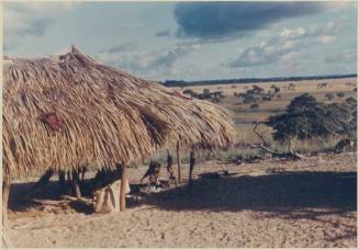 Photograph album, Yaruro fieldwork, p. 25, photo 1, Venezuela landscape with thatched hut