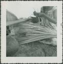 Photograph album, Yaruro fieldwork, p. 27, photo 2, woman working on thatch