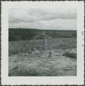 Photograph album, Yaruro fieldwork, p. 32, photo 3, construction of wooden structure