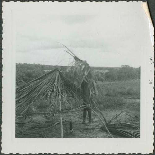 Photograph album, Yaruro fieldwork, p. 32, photo 4, construction of wooden structure