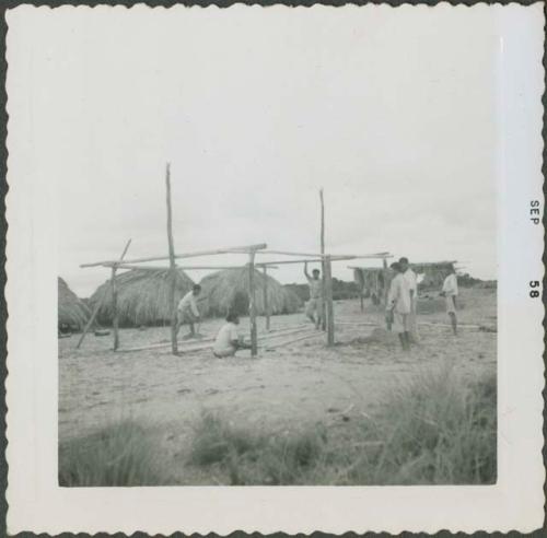 Photograph album, Yaruro fieldwork, p. 34, photo 5, constructing a building, placing poles