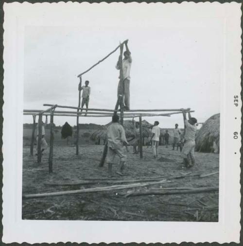 Photograph album, Yaruro fieldwork, p. 35, photo 3, constructing a building, placing poles