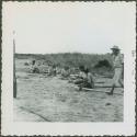 Photograph album, Yaruro fieldwork, p. 36, photo 1, constructing a building, notching poles