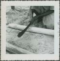 Photograph album, Yaruro fieldwork, p. 36, photo 3, constructing a building, notching poles