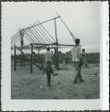 Photograph album, Yaruro fieldwork, p. 36, photo 4, constructing a building, placing poles