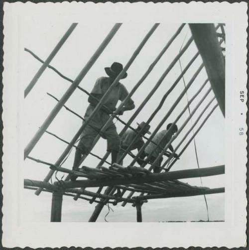 Photograph album, Yaruro fieldwork, p. 37, photo 1, constructing a building, setting roof