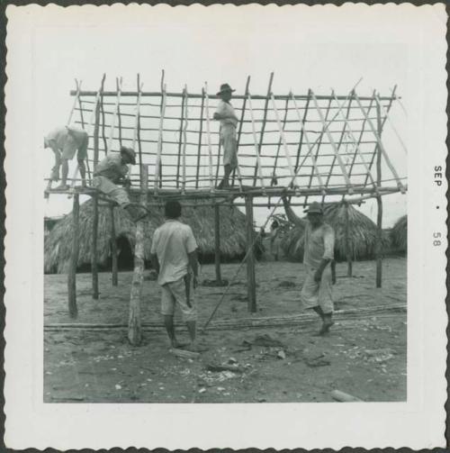 Photograph album, Yaruro fieldwork, p. 37, photo 2, constructing a building, setting roof