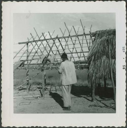 Photograph album, Yaruro fieldwork, p. 37, photo 3, constructing a building, setting thatch