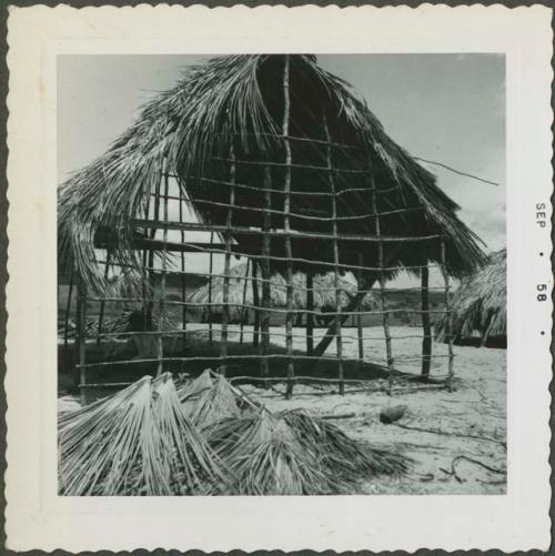 Photograph album, Yaruro fieldwork, p. 38, photo 1, constructing a building, view of side poles