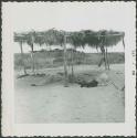 Photograph album, Yaruro fieldwork, p. 41, photo 1, people sleeping outdoors under thatched roof