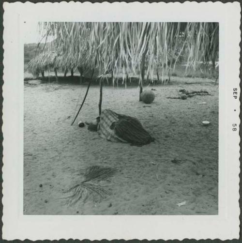 Photograph album, Yaruro fieldwork, p. 41, photo 2, person sleeping outdoors under thatched roof