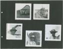 Photograph album, Yaruro fieldwork, p. 55 containing 5 bw photographs