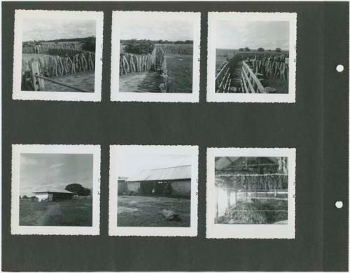 Photograph album, Yaruro fieldwork, p. 64 containing 6 bw photographs