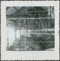 Photograph album, Yaruro fieldwork, p. 64, photo 6, inside view of building