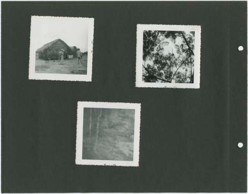 Photograph album, Yaruro fieldwork, p. 66 containing 3 bw photographs