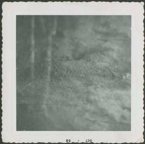 Photograph album, Yaruro fieldwork, p. 66, photo 3, unknown blurry image