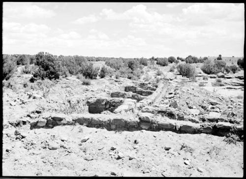 Site 106, general view, looking north.