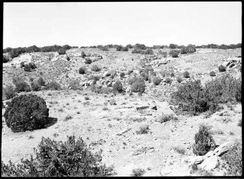 Site ? (probably 104 or 105), general view, showing relation with garden wall.