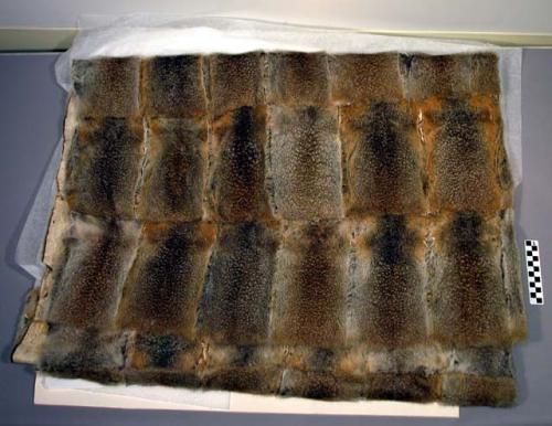 Marmot skin "throw".  Machine-sewn rectangles.