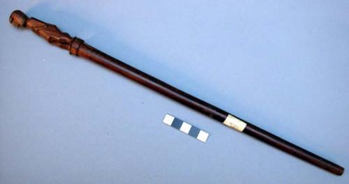 Medicine wand or stick - used by the medicine man's son while he is learning