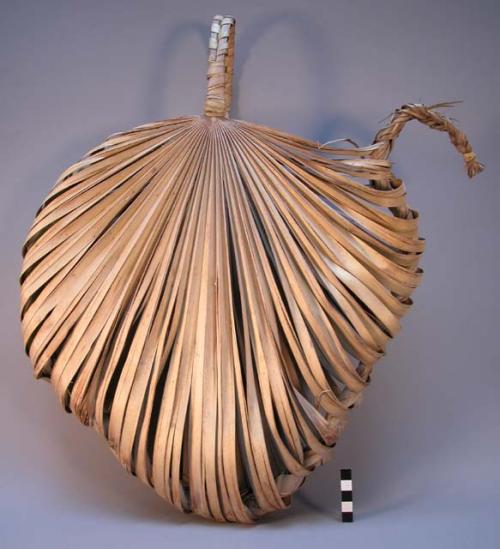 Silver leaf palm basket with bound handle