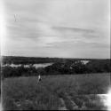 Geography and ecology: Venezuela landscape with view of river