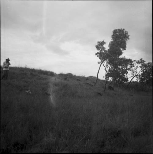 Geography and ecology: Venezuela landscape with person in field